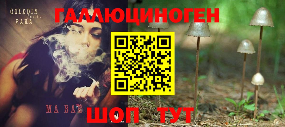 Псилоцибиновые грибы ЛСД Губкин